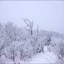 덕유산식품 이미지