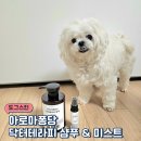 도그워시 | 예민한 피부 도그스킨 강아지 샴푸 추천 - 아로마퐁당 닥터테라피 샴푸, 미스트