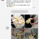 오유플랜트