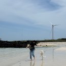 해월정서귀포점 이미지