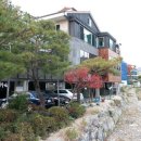 삼막5 이미지