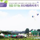 정읍 유기농 포도 체험축제 후기~