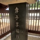 효자 이복비 이미지