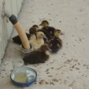 은석농장 이미지