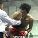 참피온복싱 이미지