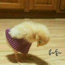 동홍동 주민센터 이미지