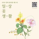 생활양재 이미지