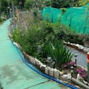 영환농장 이미지