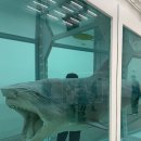 현대중앙병원 | 데이미언 허스트 전시회 후기 | 평일 관람 당일예약 꿀팁 + 국립중앙미술관 전시