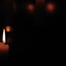 칼럼 쓰기 이미지