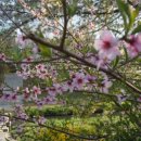 신석체육관 이미지