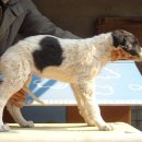 스테이 리네 이미지