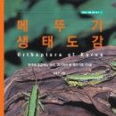 수정생태