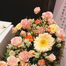 레크레아티오 이미지