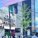 대한산업보건협회 맞은편 이미지