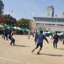 사직2동-11 이미지