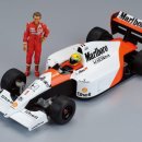 커스텀게러지 이미지