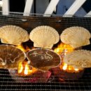 토도수산 이미지