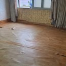 유림-1136 이미지