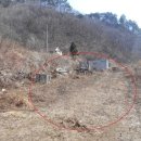 인제02-2 이미지