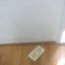 통일전업사