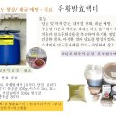 착색기에 과일 당도와 경도향상법 이미지