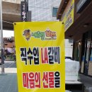 축산물할인매장 - 종로구 종로41길 2 | 축산물할인매장