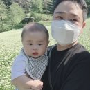 [160일~169일차]추정리 메밀꽃밭/ 효자촌 묵집/ 천재교육 돌잡이/ 촉감놀이/감초당 한의원/ 드디어 통잠!!