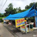 소망농장 이미지