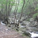 구룡식당 이미지