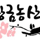 황금농산 이미지