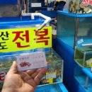 신광전복수산 이미지
