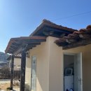 아라뜰데이지 이미지