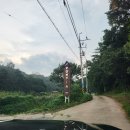 흥남목장 | 언양 아이들과 가볼만한곳 포니랜드 방문후기