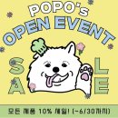 강아지 수제간식 케이크 원데이클래스