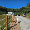 오렌지 카 매니아 | 경기 안성 캠핑장 추천 🏕️ 캠프그라운드 화우 타프존 T1 1박 2일 솔직 후기