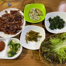 [경북 청송] 진보 맛집, 매운 닭발과 닭똥집, 술안주가 맛있는 니깡내깡포차 방문 후기!