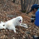 향로농장 이미지