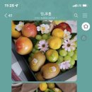 밴드홀릭&단프룻 이미지