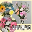 [상암꽃집] 바베리플라워 방문 후기, 화사한 봄을 닮은 마포구 꽃집 추천