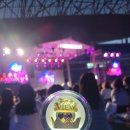 용인 피크닉 페스티벌 로맨틱 펀치 라포엠 멜로망스 공연 후기