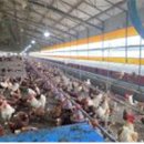 냉수농장 이미지