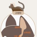 (주)리스펫 이미지