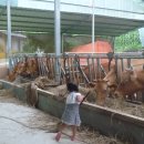 미소담농장 이미지