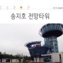 송지호 관망타워 이미지