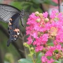 화곡사 | 여수 추계정(秋溪亭)