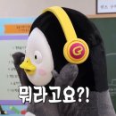 신여사