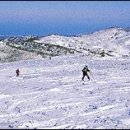 “순백의 산과 설원(雪原)이 우리를 부른다..겨울눈꽃 축제들..트레블조선 이미지