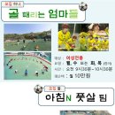 라온초등학교 이미지