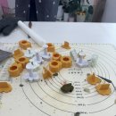 퍼피케크 이미지